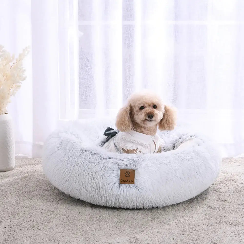 Charlie's - Snookie Hooded Pet Bed - Faux Fur - Arctic White