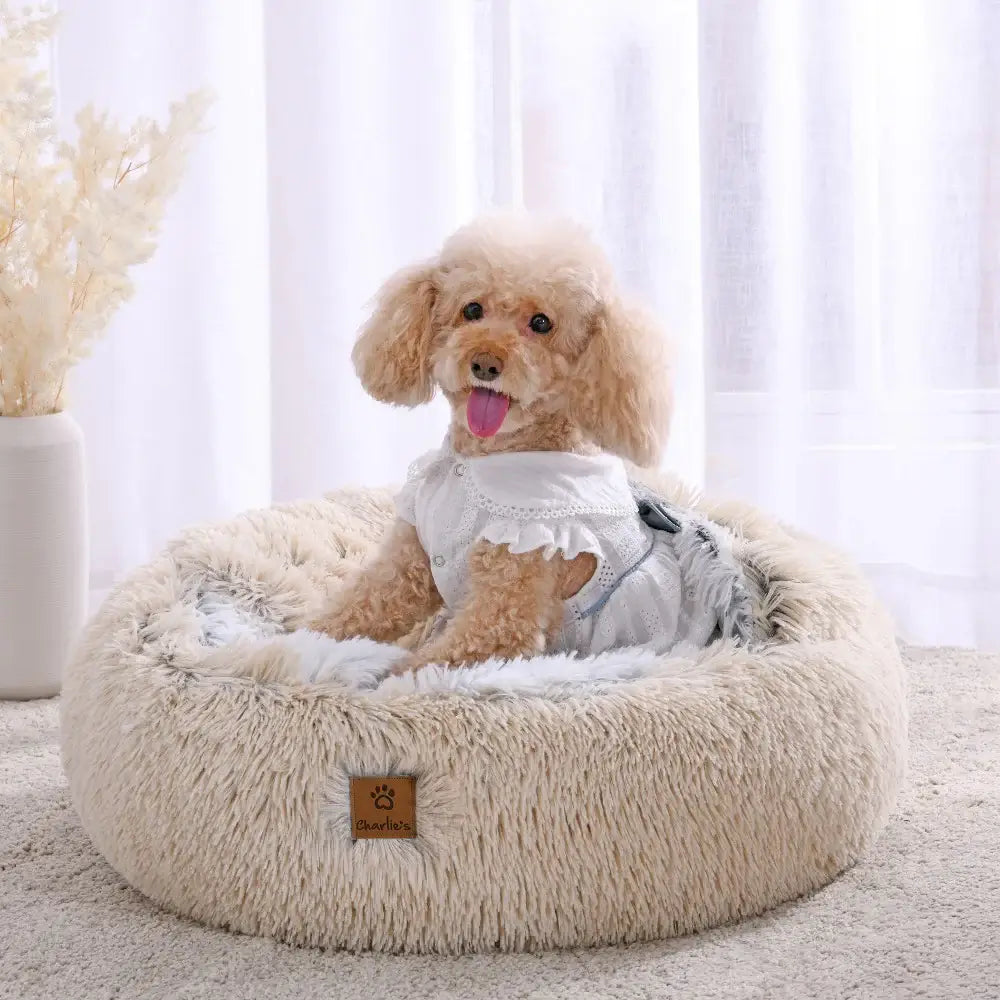 Charlie's - Snookie Hooded Pet Bed - Faux Fur - Cream