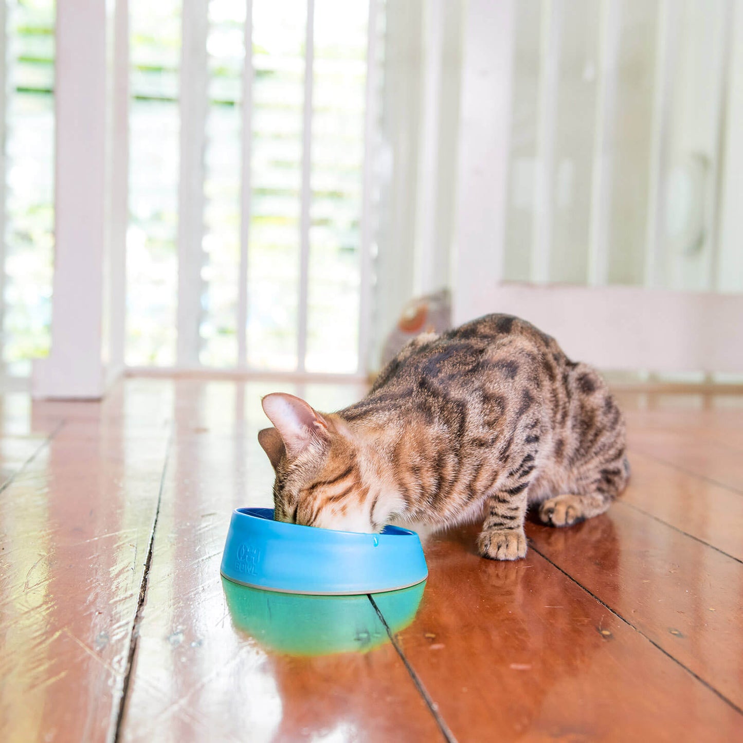 LickiMat - Cat OH Bowl