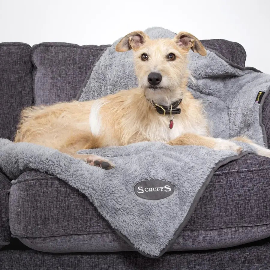 Scruffs - Grey - Cosy Blanket