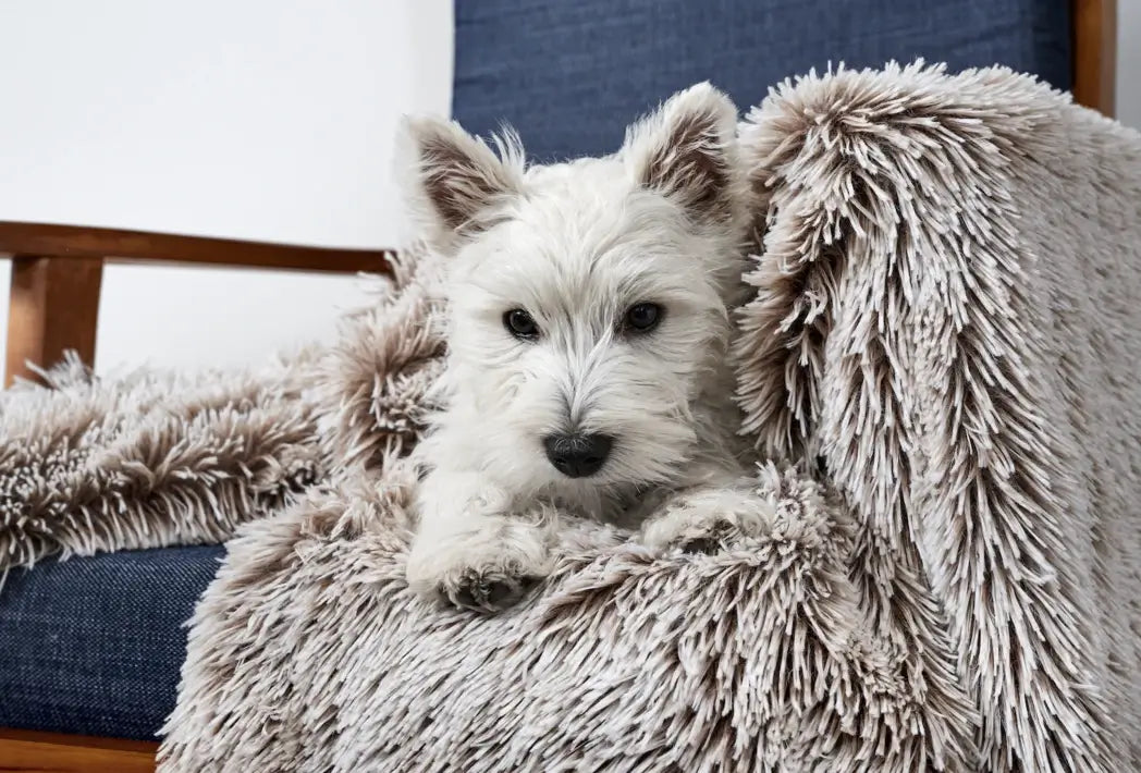 Snooza - Mink - Calming Cuddler Blanket