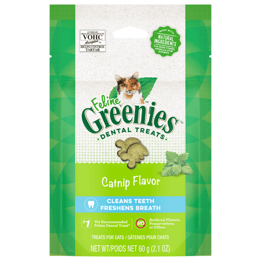 Greenies - Dental Chews - Cat Treats