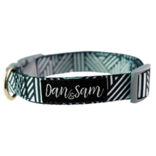 Dan & Sam - Abstract - Adjustable Polyester Webbing Dog Collar