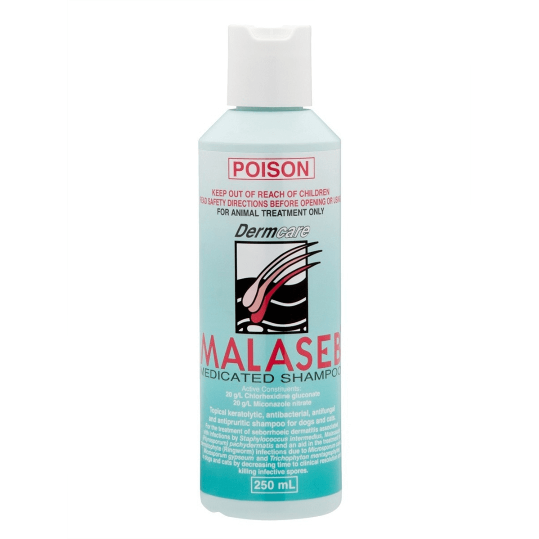 Dermcare - Malaseb - Medicated Shampoo – Pet Paradise Australia