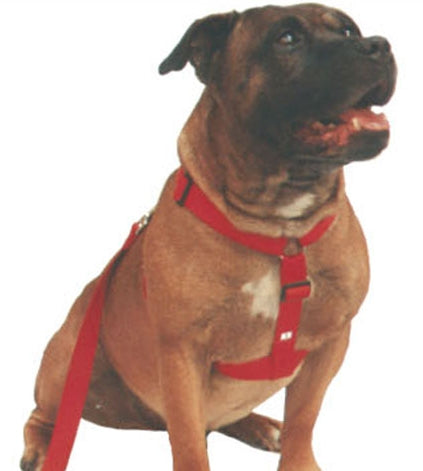 Beau Pets - Black - Walking Harness