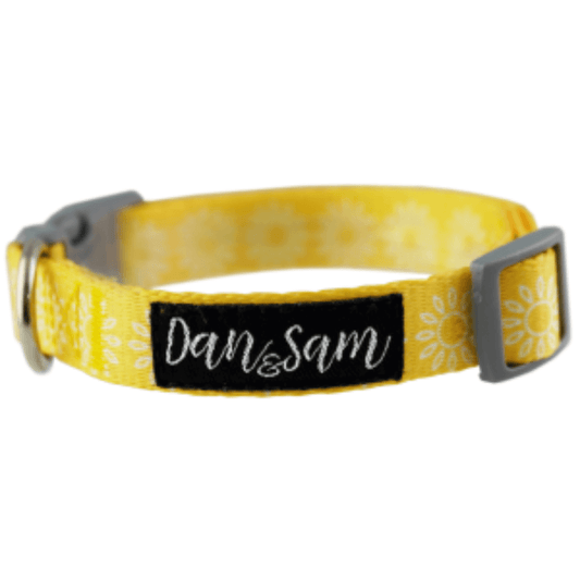 Dan & Sam - Sunflower - Adjustable Polyester Webbing Dog Collar