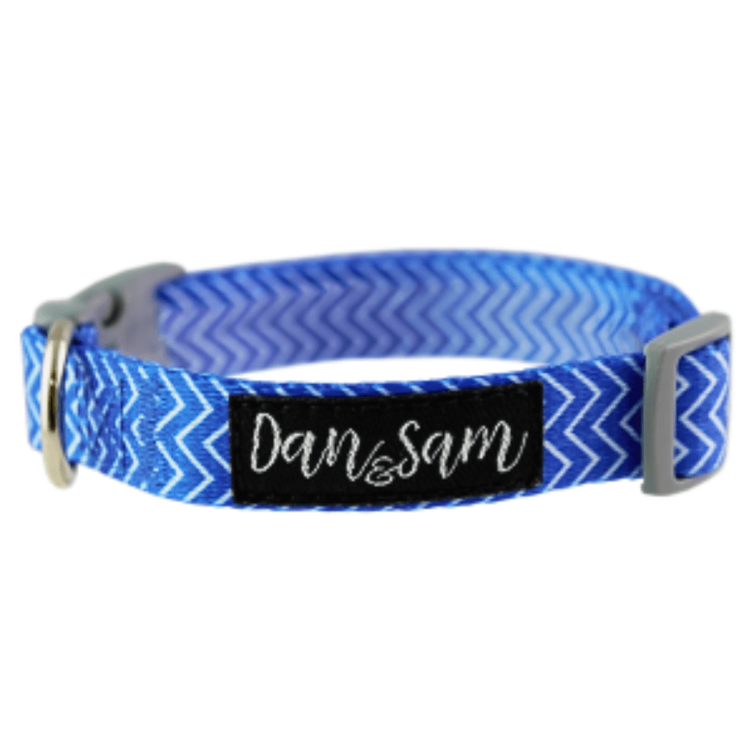 Dan & Sam - Ziggy - Adjustable Polyester Webbing Dog Collar